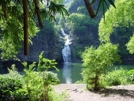 Un ptit coin de Paradis